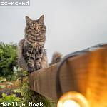 Zachery Armstrong Profile Picture