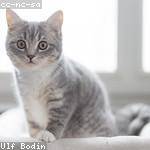 Robyn Watsica Profile Picture