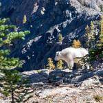 Amelie Mueller Profile Picture