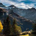 Brannon Littel Profile Picture