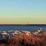 Mark Herman Profile Picture