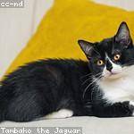 Ryleigh Hodkiewicz Profile Picture