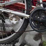 Annie Lubowitz Profile Picture