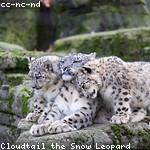 Anastasia Kilback Profile Picture