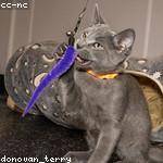 Queenie Koch Profile Picture