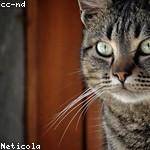 Geovanni Kris Profile Picture