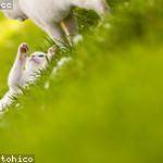 Greta Anderson Profile Picture