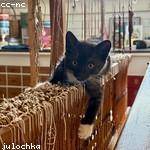 Alf Baumbach Profile Picture