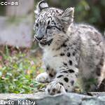 Hayley Powlowski Profile Picture