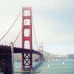 Rod Hermann Profile Picture