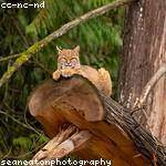 Frankie Murray Profile Picture