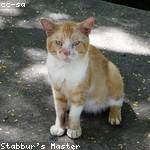 Margaretta Wehner Profile Picture