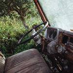 Anissa Terry Profile Picture