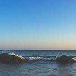 Alex Schimmel Profile Picture