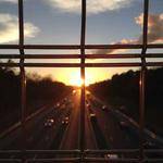 Jaunita Bayer Profile Picture