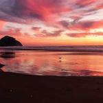 Lamar Hauck Profile Picture