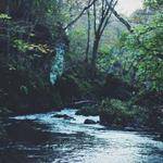 Mireille Ward Profile Picture