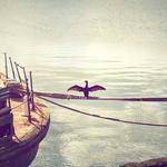 Cale Buckridge Profile Picture