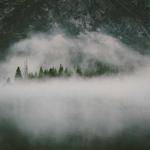 Yvonne Kilback Profile Picture