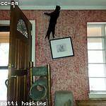 Ocie Boyer Profile Picture