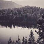 Rosalyn Kuphal Profile Picture