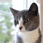 Owen Turcotte Profile Picture