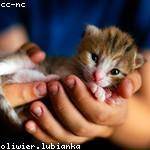 Aileen Reilly Profile Picture