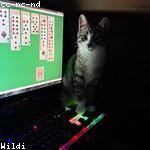 Makayla Veum Profile Picture