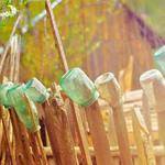 Davion Satterfield Profile Picture